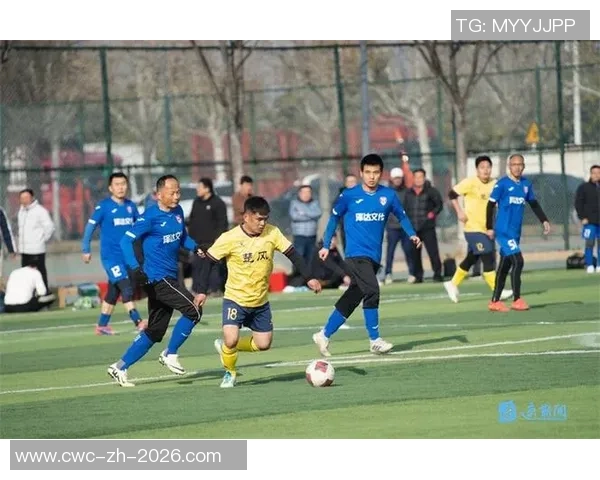 芜湖业余足球热潮兴起球迷齐聚展现激情与团结精神